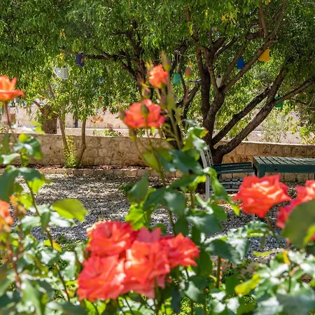 Hotel Ozy - Lacitrus Villa&hotel