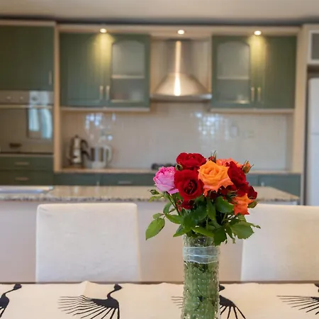 Ozy - Lacitrus Villa&hotel *