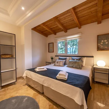 Ozy - Lacitrus Villa&hotel