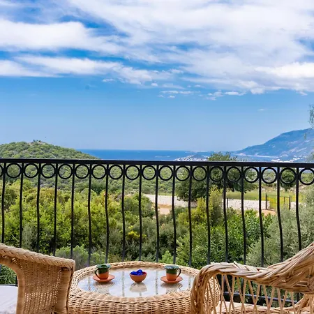 Hotel Ozy - Lacitrus Villa&hotel *