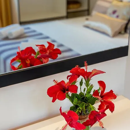 Ozy - Lacitrus Villa&hotel