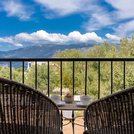 Ozy - Lacitrus Villa&hotel *