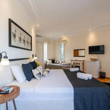 Lacitrus Villa&hotel-ozy Отель *