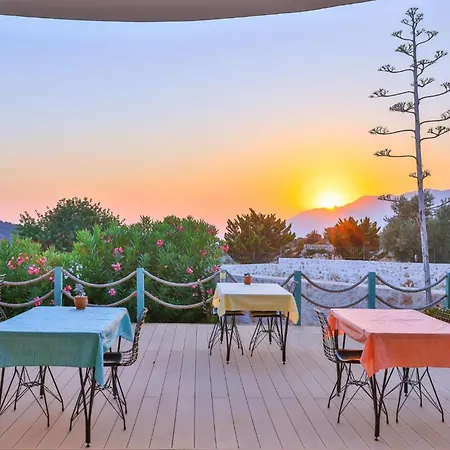 Lacitrus Villa&hotel-ozy Hotell