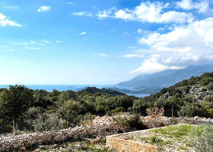 Lacitrus Villa&hotel-ozy 호텔 *