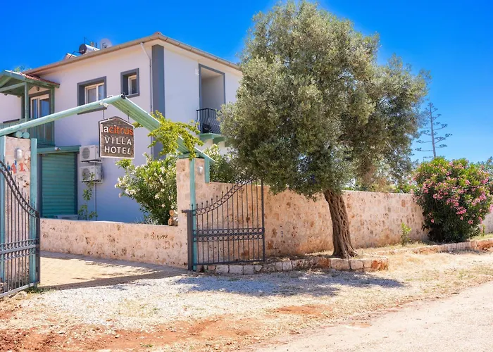 Lacitrus Villa&hotel-ozy * 카스