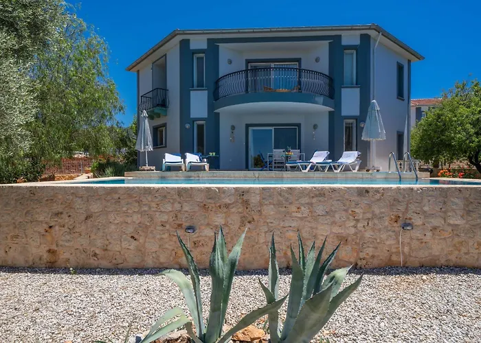 Lacitrus Villa&hotel-ozy * 카스