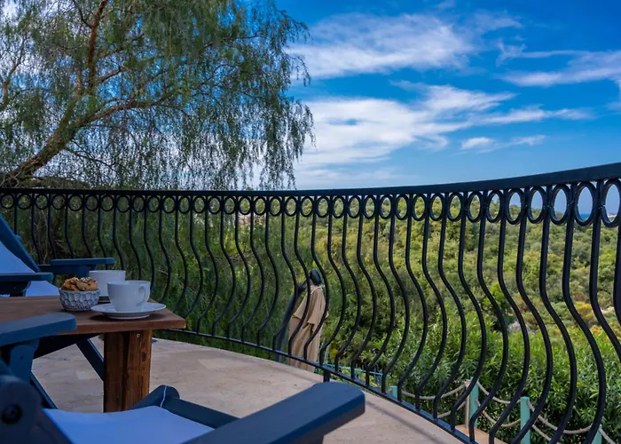 호텔 Lacitrus Villa&hotel-ozy *