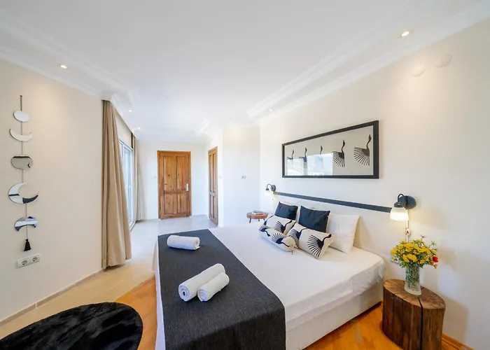 호텔 Lacitrus Villa&hotel-ozy