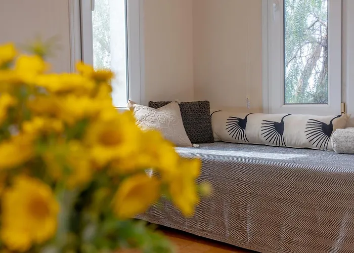 Lacitrus Villa&hotel-ozy 호텔 *