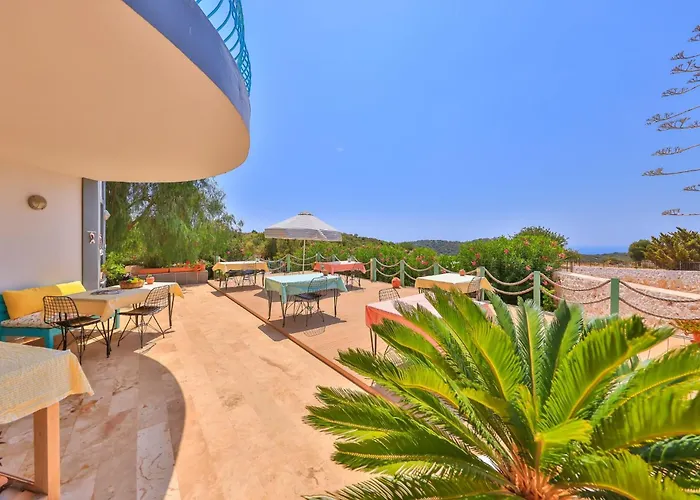 Lacitrus Villa&hotel-ozy 호텔 카스