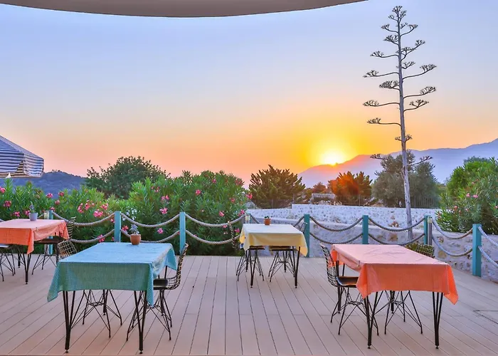 Lacitrus Villa&hotel-ozy 호텔