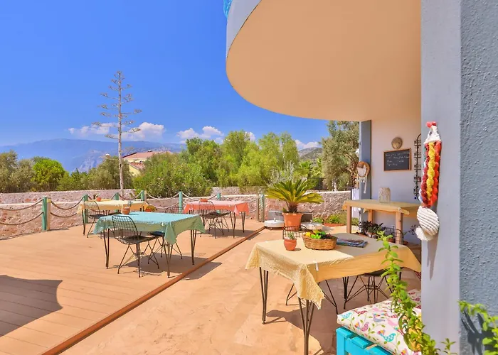 Lacitrus Villa&hotel-ozy 카스