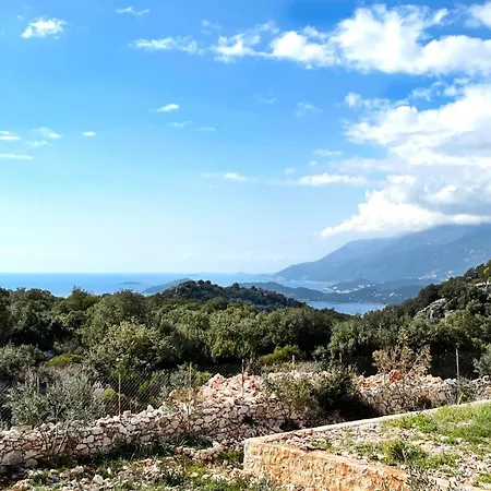 Lacitrus Villa&hotel-ozy Hotel *